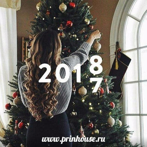 Новый год 2018